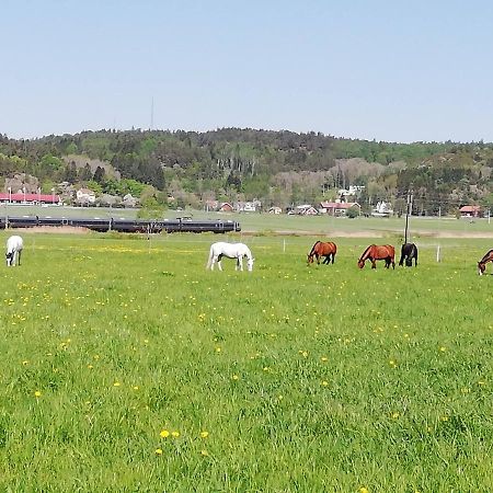 Stuga Pa Hammarbergs Gard Kungsbacka Eksteriør bilde