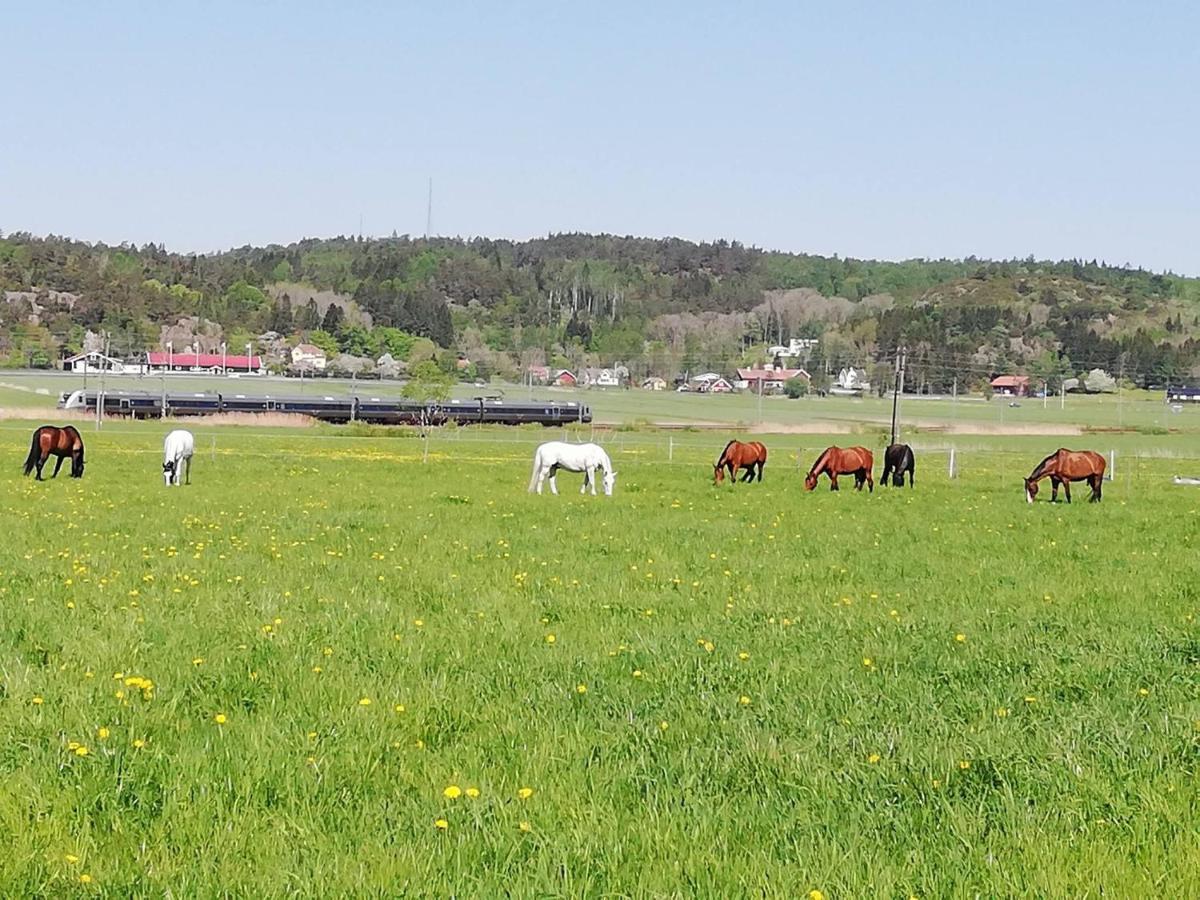 Stuga Pa Hammarbergs Gard Kungsbacka Eksteriør bilde